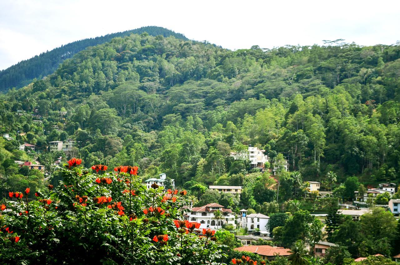 Villa Nine Kandy Bagian luar foto